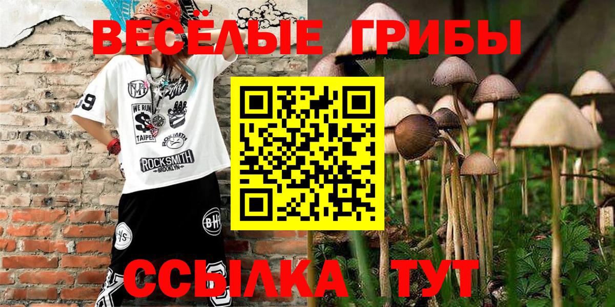 Псилоцибиновые грибы Psilocybe Большой Камень